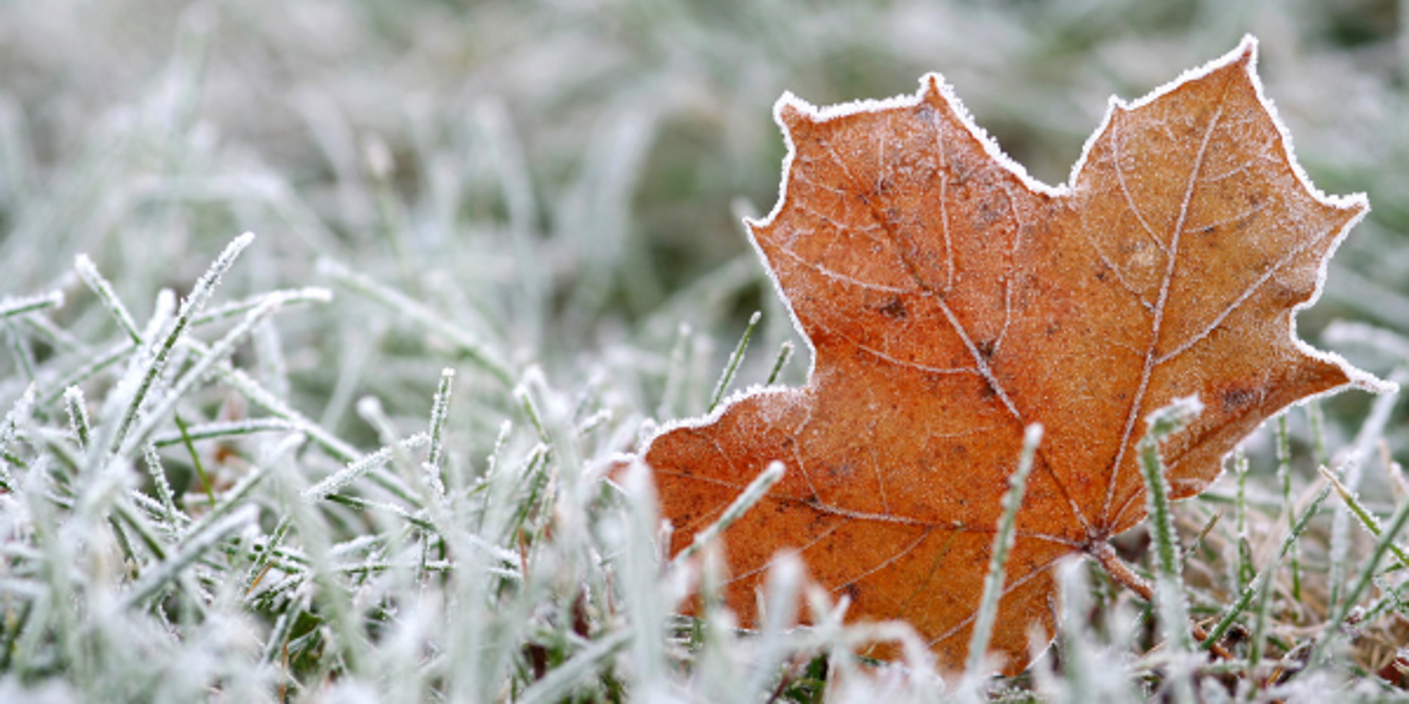 Cold weather