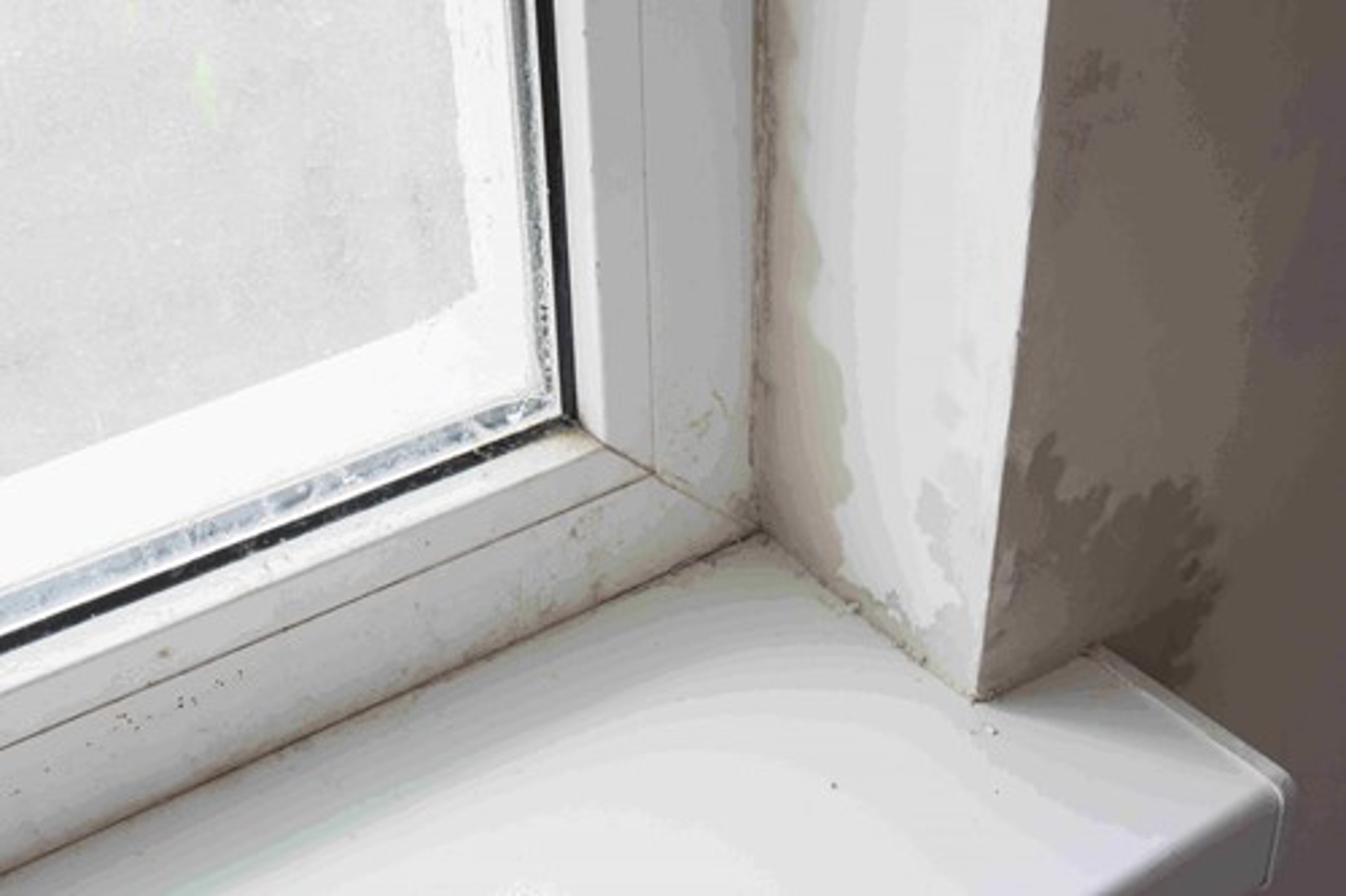 Damp and mould