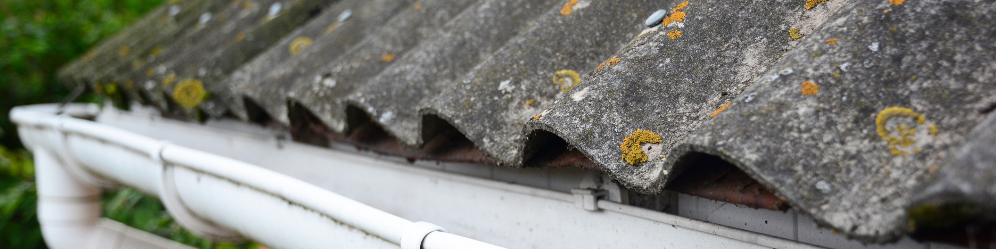Asbestos